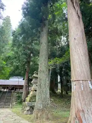 金峰神社(岐阜県)