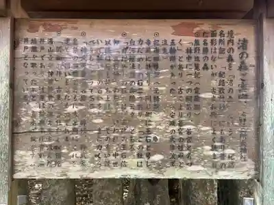 熊野三所大神社（浜の宮王子）(和歌山県)