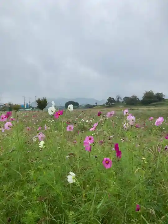神吉八幡神社(兵庫県)