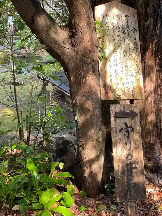 かっぱの寺 栖足寺(静岡県)