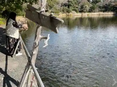 大瀬神社(静岡県)