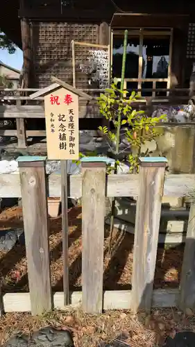 新潟大神宮(新潟県)