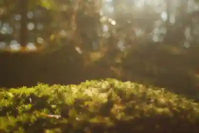 赤山禅院(京都府)