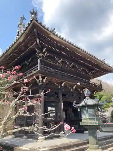 金剛城寺の山門