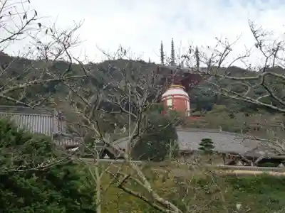 薬王寺(徳島県)