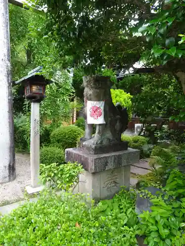 三輪恵比須神社の狛犬