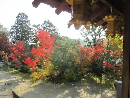 光明寺（粟生光明寺）の庭園