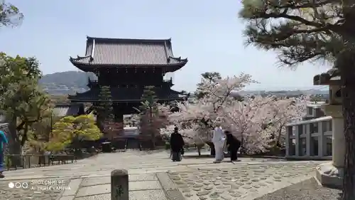 真正極楽寺（真如堂）の山門