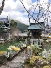 金剛城寺(兵庫県)