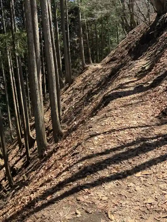 三峯神社奥宮の{uncategorized: "未分類", other: "その他", undefined: "問題あり", building: "その他建物", grave: "お墓", sacred_gate: "鳥居", guardian: "狛犬", statue: "像", buddha: "仏像", history: "歴史", nature: "自然", garden: "庭園", animal: "動物", pagoda: "塔", temizu: "手水舎", mountain_gate: "山門・神門", sanctuary: "本殿・本堂", subordinate: "末社・摂社", art: "芸術", scenery: "景色", jizo: "地蔵", ema: "絵馬", goshuin: "御朱印", omikuji: "おみくじ", items: "授与品その他", amulet: "お守り", goshuincho: "御朱印帳", eats: "食事", festival: "お祭り", votive_dance: "神楽", shichigosan: "七五三参", wedding: "結婚式", experience: "体験その他", initially: "初詣", around: "周辺", anti_infection: "感染症対策"}