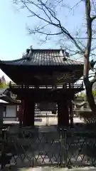 鶏足寺の山門