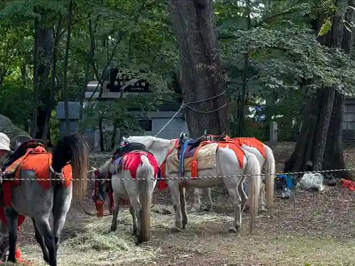 帯廣神社の動物