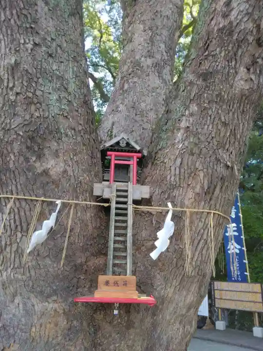 加藤神社(熊本県)
