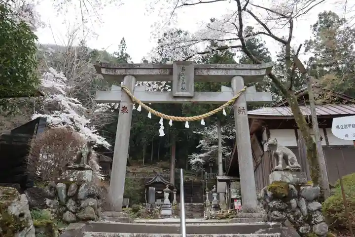 秩父若御子神社の鳥居