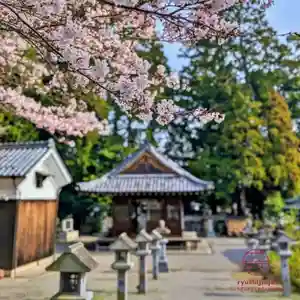 立志神社(滋賀県)(2024年04月07日(日) 10時56分45秒投稿)