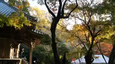 小松寺(千葉県)