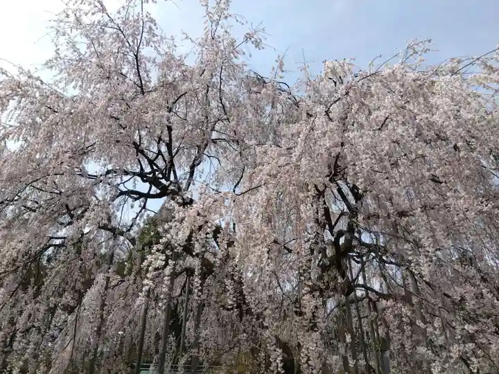 足羽神社(福井県)