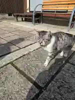 満月寺(浮御堂)(滋賀県)