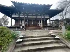 般若寺 ❁﻿コスモス寺❁(奈良県)