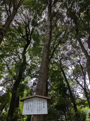 明治神宮(東京都)