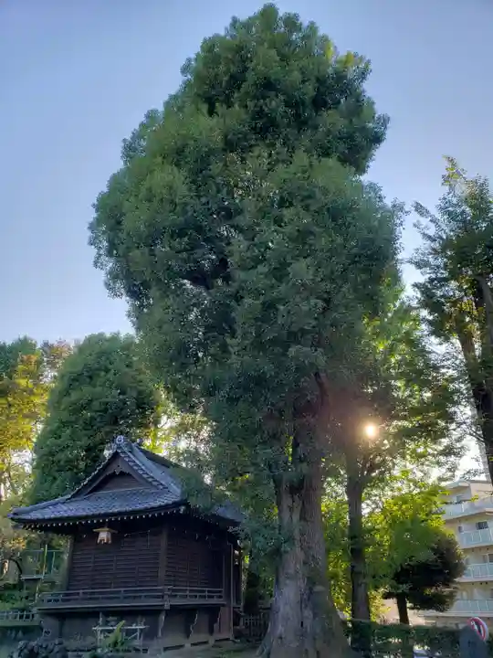 西向天神社のその他建物