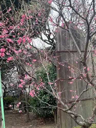 亀戸天神社(東京都)