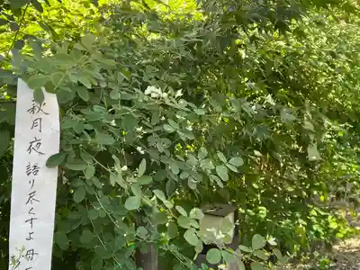 梨木神社(京都府)