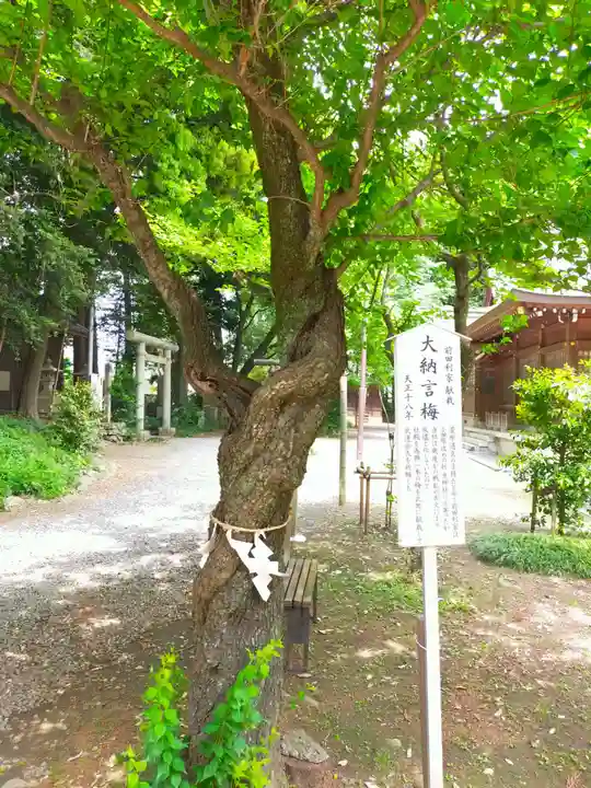 北野天神社の自然