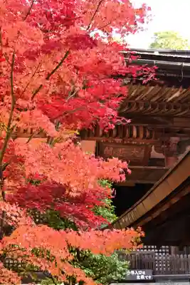 金剛輪寺(滋賀県)