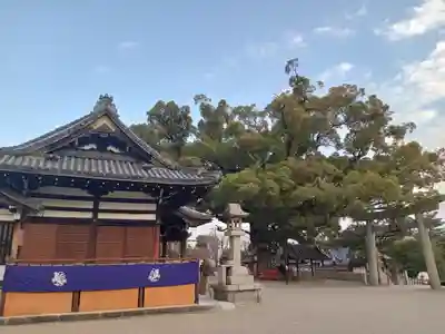 百舌鳥八幡宮(大阪府)