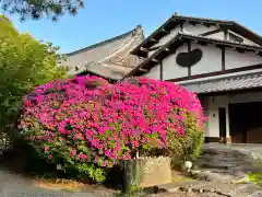 大本山誕生院  (佐賀県)