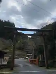 代々木神社の鳥居