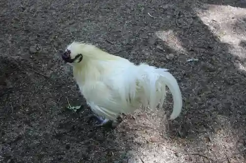 身曾岐神社(山梨県)
