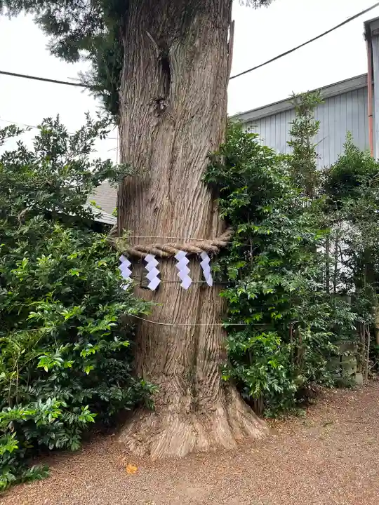 健田須賀神社(茨城県)