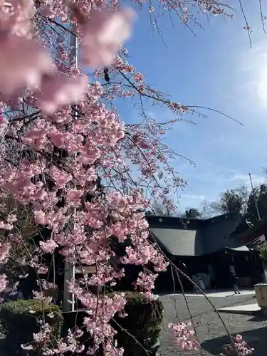 大國魂神社の自然