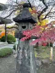 豪徳寺の建物その他