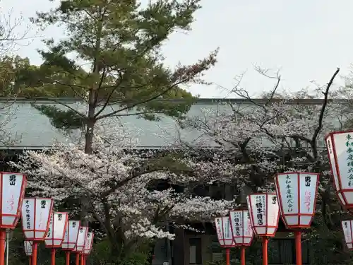 石清水八幡宮の{uncategorized: "未分類", other: "その他", undefined: "問題あり", building: "その他建物", grave: "お墓", sacred_gate: "鳥居", guardian: "狛犬", statue: "像", buddha: "仏像", history: "歴史", nature: "自然", garden: "庭園", animal: "動物", pagoda: "塔", temizu: "手水舎", mountain_gate: "山門・神門", sanctuary: "本殿・本堂", subordinate: "末社・摂社", art: "芸術", scenery: "景色", jizo: "地蔵", ema: "絵馬", goshuin: "御朱印", omikuji: "おみくじ", items: "授与品その他", amulet: "お守り", goshuincho: "御朱印帳", eats: "食事", festival: "お祭り", votive_dance: "神楽", shichigosan: "七五三参", wedding: "結婚式", experience: "体験その他", initially: "初詣", around: "周辺", anti_infection: "感染症対策"}