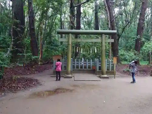 鹿島神宮の鳥居