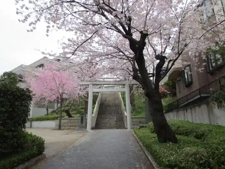 簸川神社の鳥居