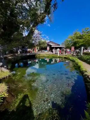 淺間神社（忍野八海）(山梨県)