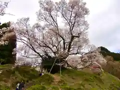 仏隆寺(奈良県)