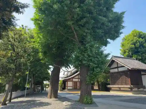 代田八幡神社(東京都)