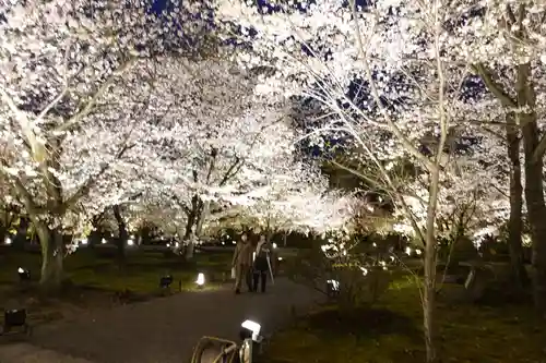 東寺（教王護国寺）(京都府)