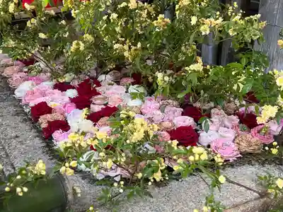 北野天満宮(京都府)