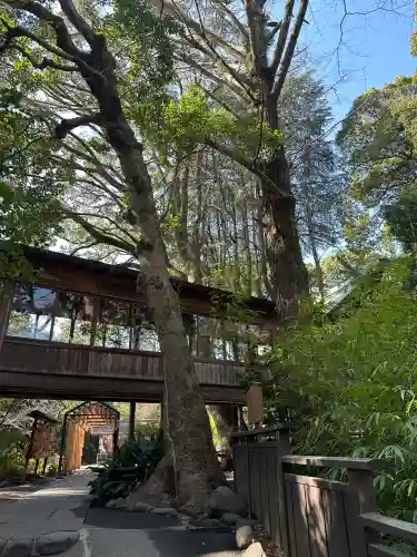 報徳二宮神社の{uncategorized: "未分類", other: "その他", undefined: "問題あり", building: "その他建物", grave: "お墓", sacred_gate: "鳥居", guardian: "狛犬", statue: "像", buddha: "仏像", history: "歴史", nature: "自然", garden: "庭園", animal: "動物", pagoda: "塔", temizu: "手水舎", mountain_gate: "山門・神門", sanctuary: "本殿・本堂", subordinate: "末社・摂社", art: "芸術", scenery: "景色", jizo: "地蔵", ema: "絵馬", goshuin: "御朱印", omikuji: "おみくじ", items: "授与品その他", amulet: "お守り", goshuincho: "御朱印帳", eats: "食事", festival: "お祭り", votive_dance: "神楽", shichigosan: "七五三参", wedding: "結婚式", experience: "体験その他", initially: "初詣", around: "周辺", anti_infection: "感染症対策"}