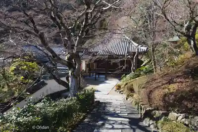 善峯寺(京都府)