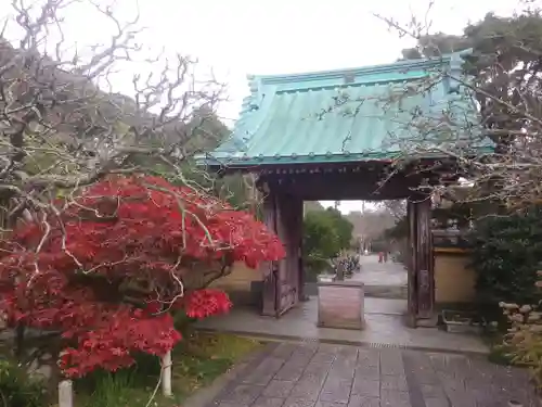 光則寺の山門