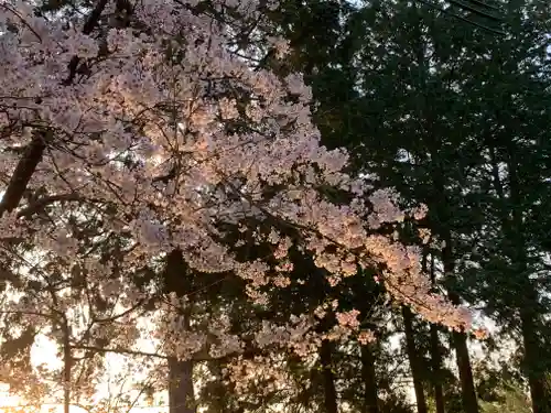 牟禮山観音禅寺の自然
