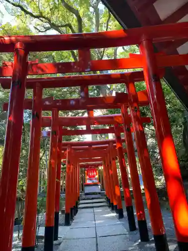 來宮神社(静岡県)