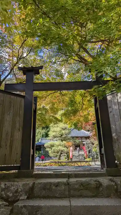 二尊院(京都府)